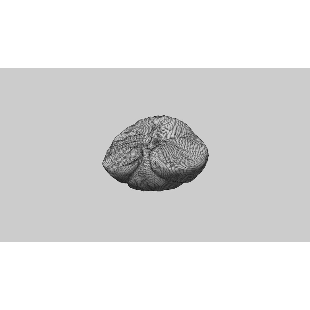 Half Mandarin Piece 3D Model – Realistic Food Asset, PBR Textures, FBX - View 8