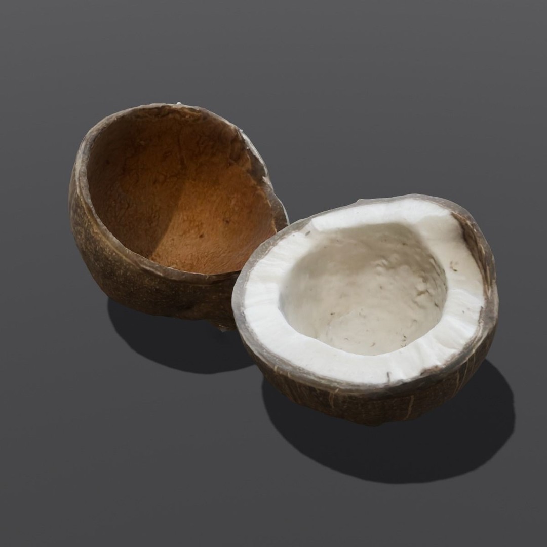Coconut 3D Model – Low Poly Digital Asset with PBR Textures - View 10