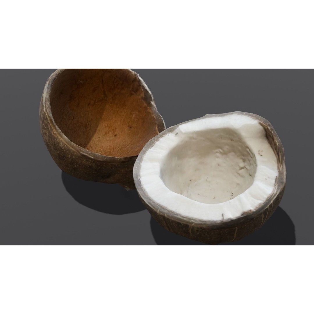 Coconut 3D Model – Low Poly Digital Asset with PBR Textures - View 11