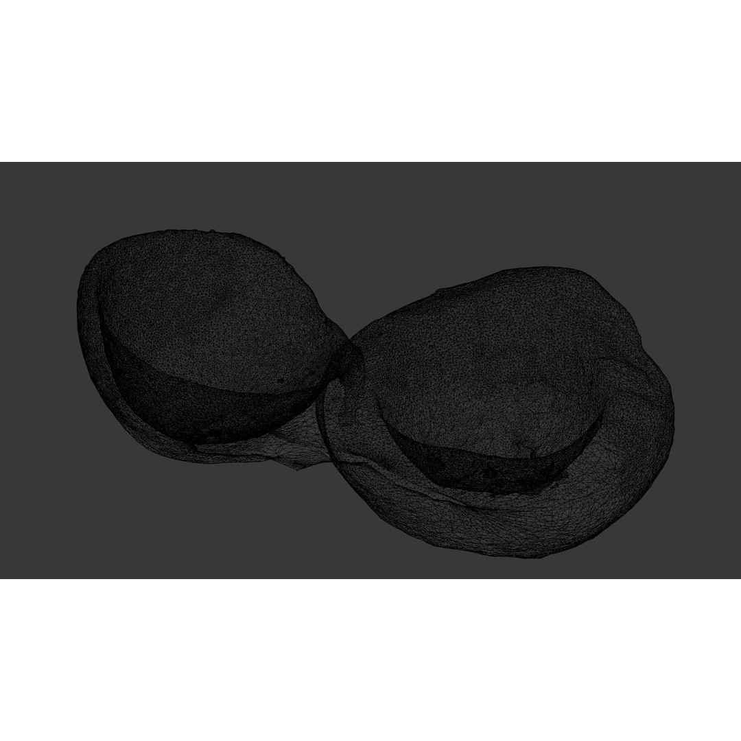 Coconut 3D Model – Low Poly Digital Asset with PBR Textures - View 12