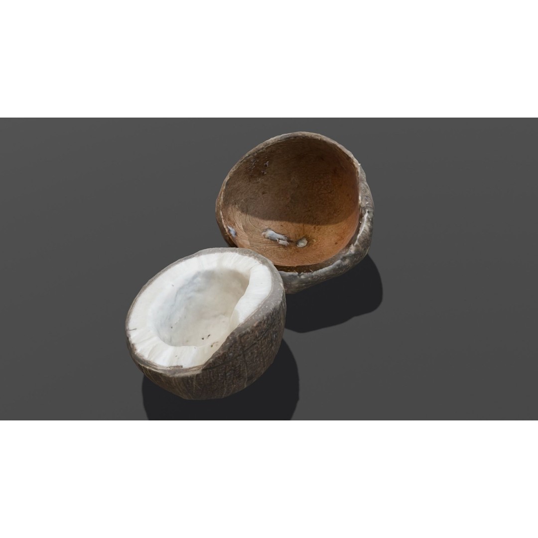 Coconut 3D Model – Low Poly Digital Asset with PBR Textures - View 15