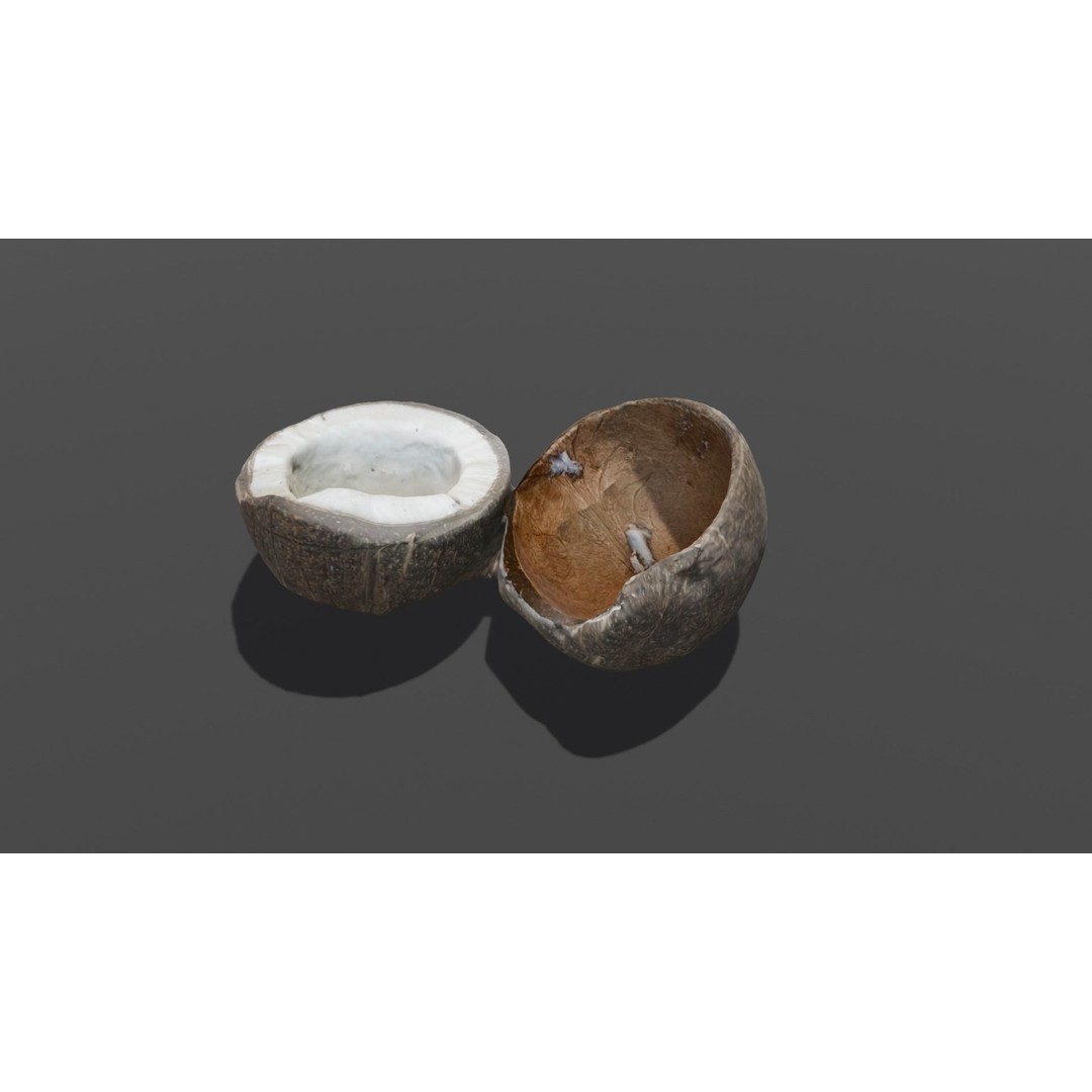 Coconut 3D Model – Low Poly Digital Asset with PBR Textures - View 16