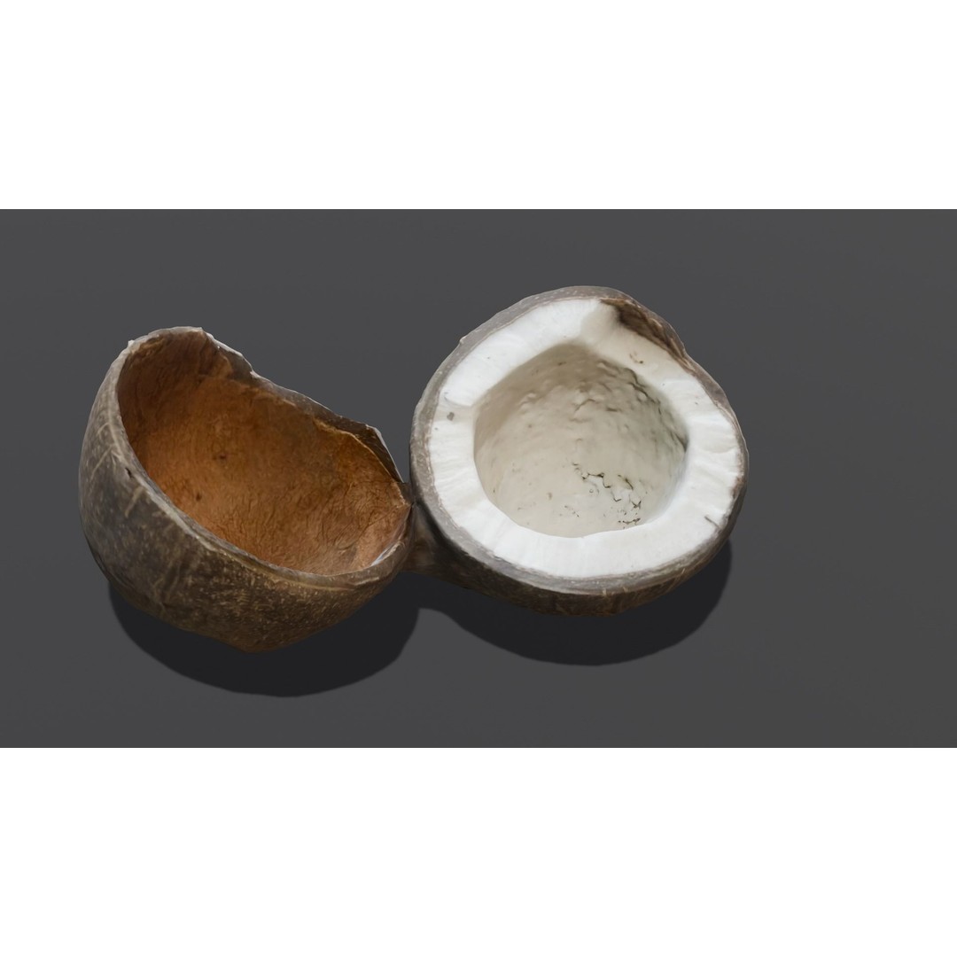 Coconut 3D Model – Low Poly Digital Asset with PBR Textures - View 18