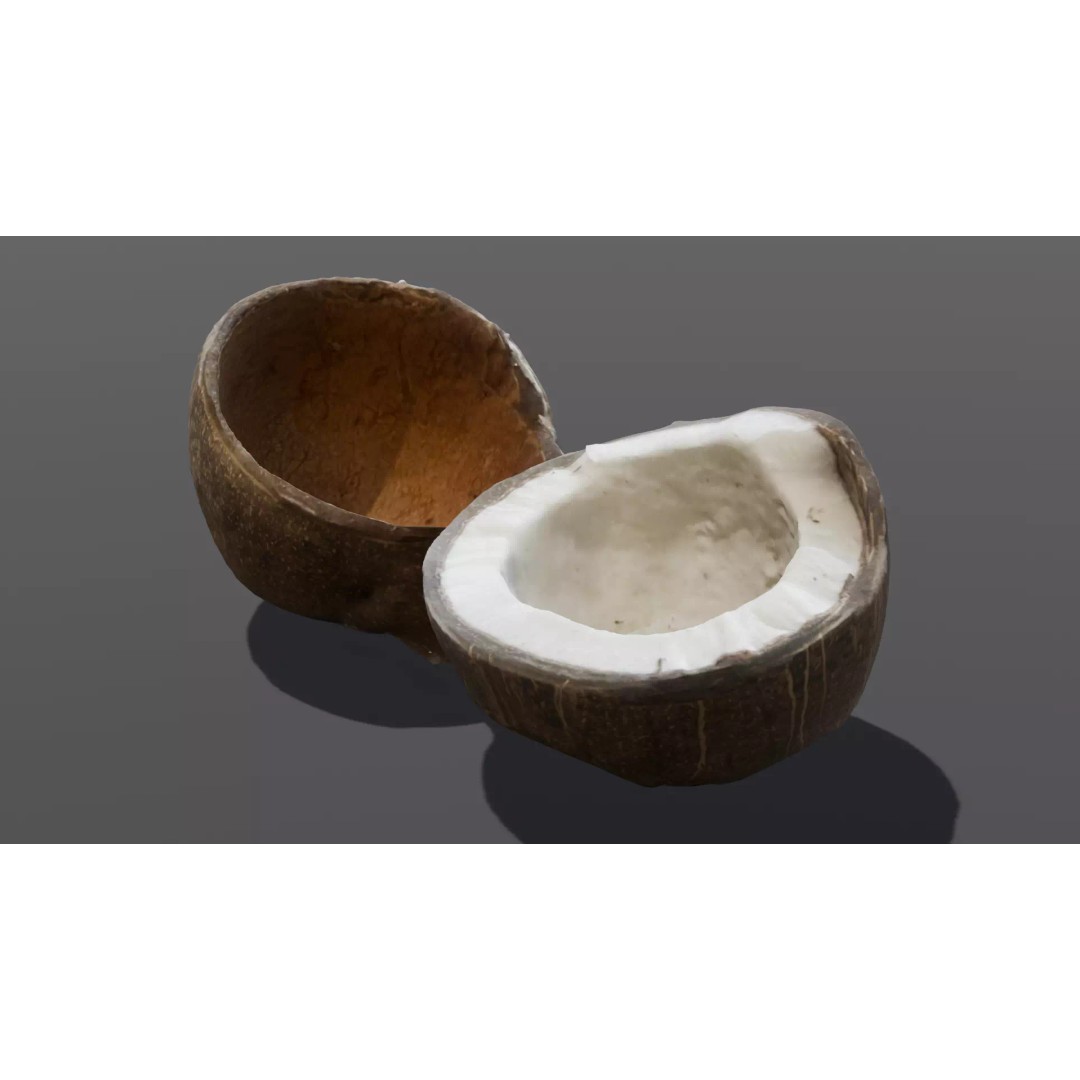 Coconut 3D Model – Low Poly Digital Asset with PBR Textures - View 2