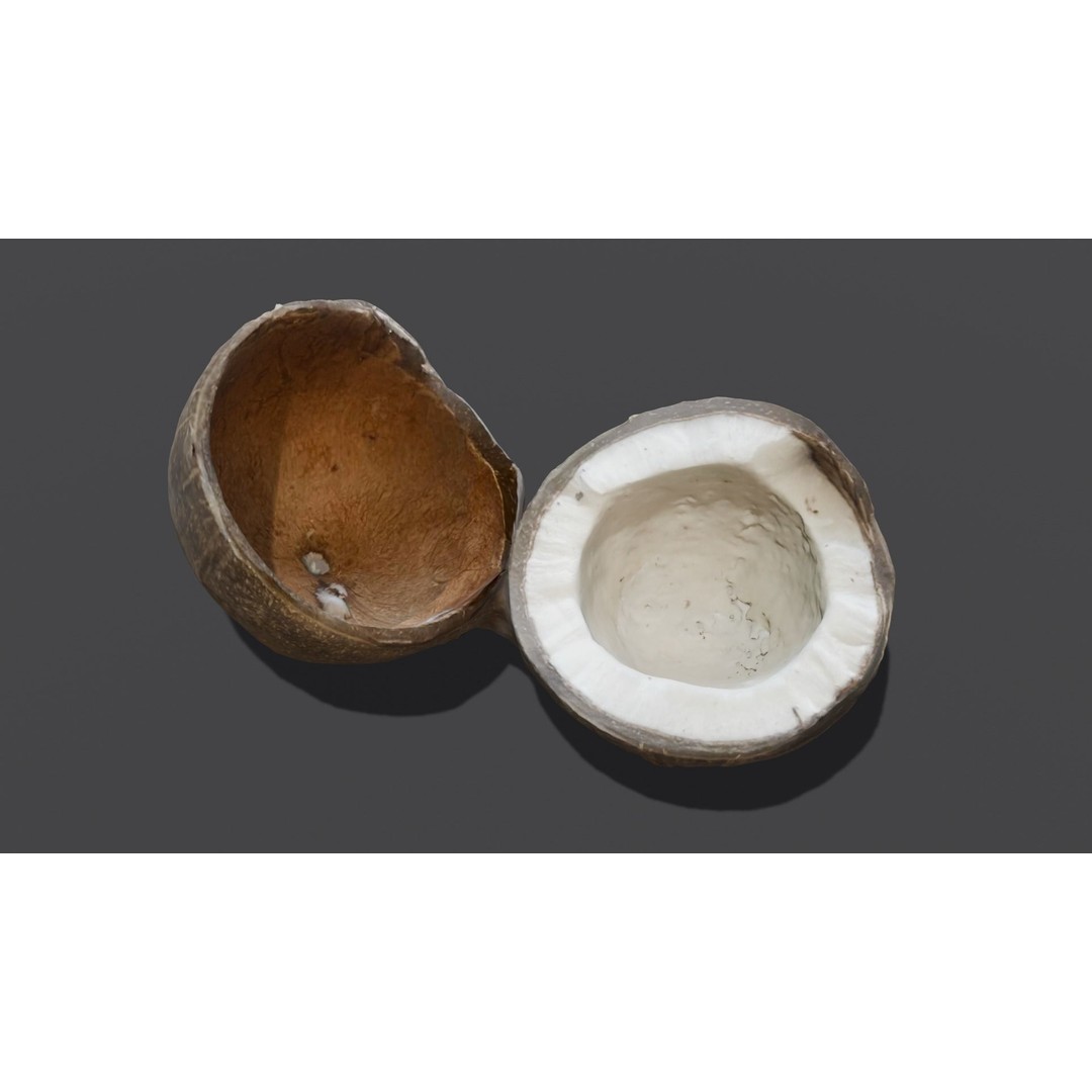 Coconut 3D Model – Low Poly Digital Asset with PBR Textures - View 3