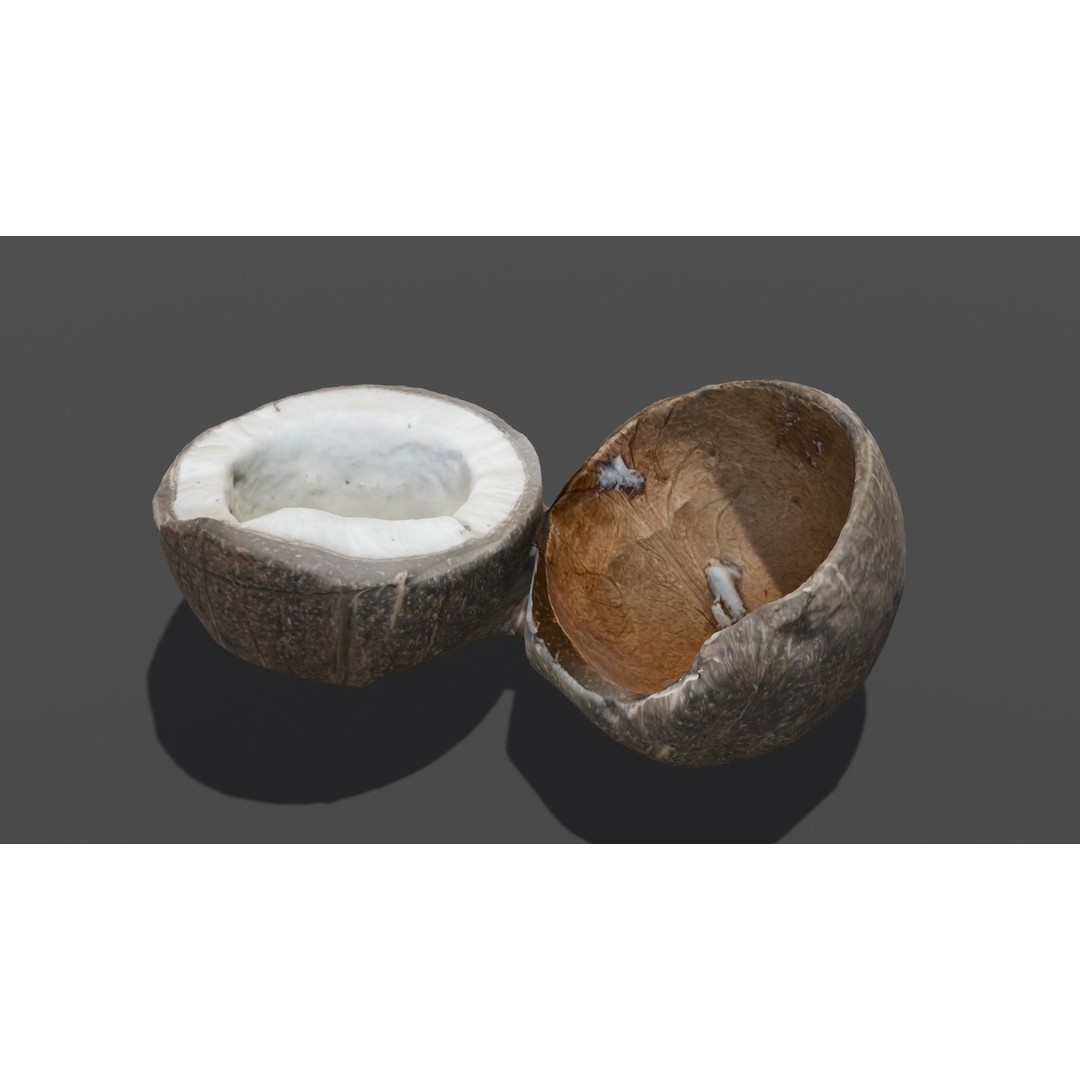 Coconut 3D Model – Low Poly Digital Asset with PBR Textures - View 4