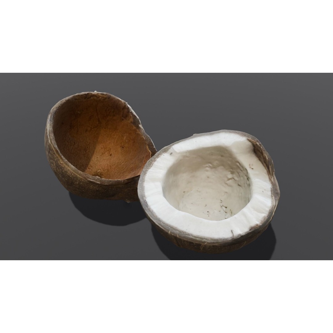 Coconut 3D Model – Low Poly Digital Asset with PBR Textures - View 5