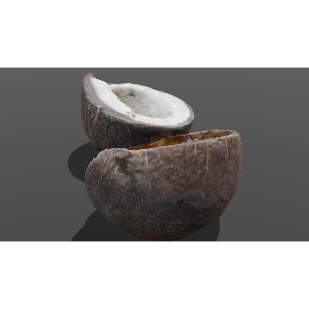 Coconut 3D Model – Low Poly Digital Asset with PBR Textures - View 6
