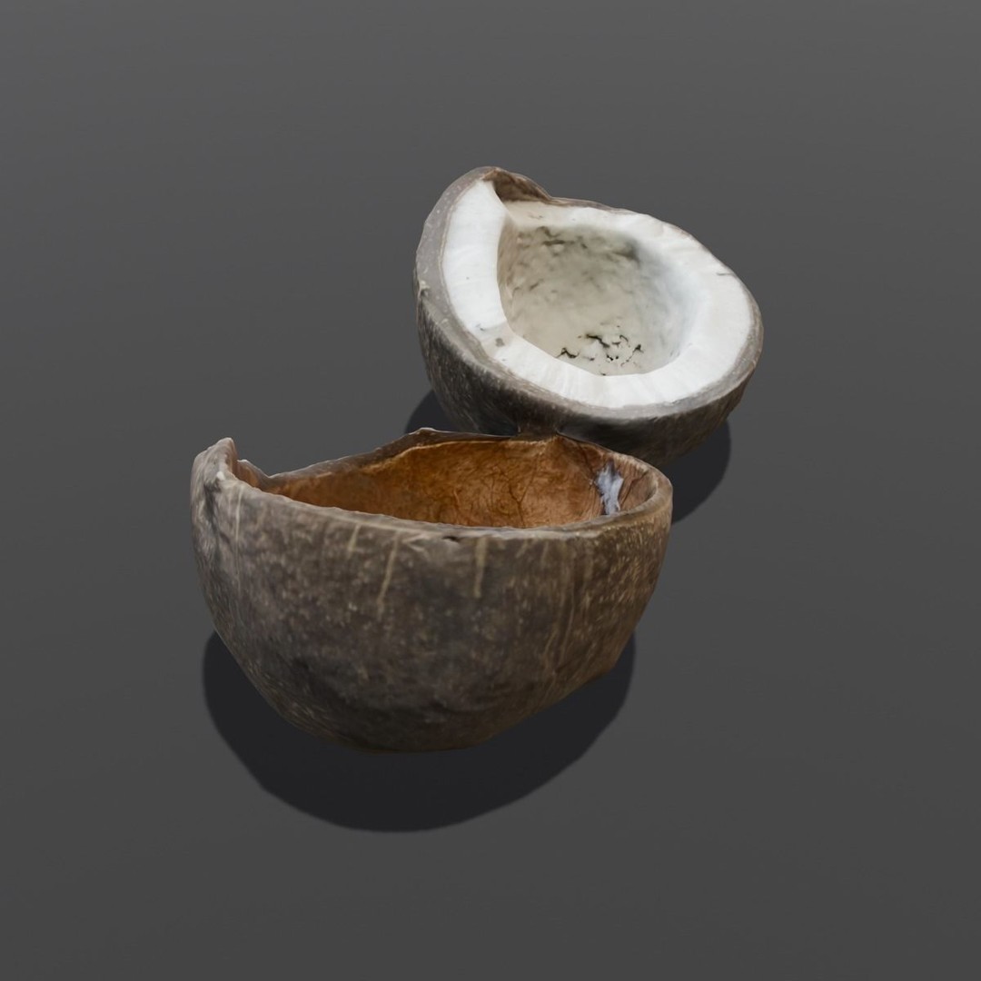 Coconut 3D Model – Low Poly Digital Asset with PBR Textures - View 7