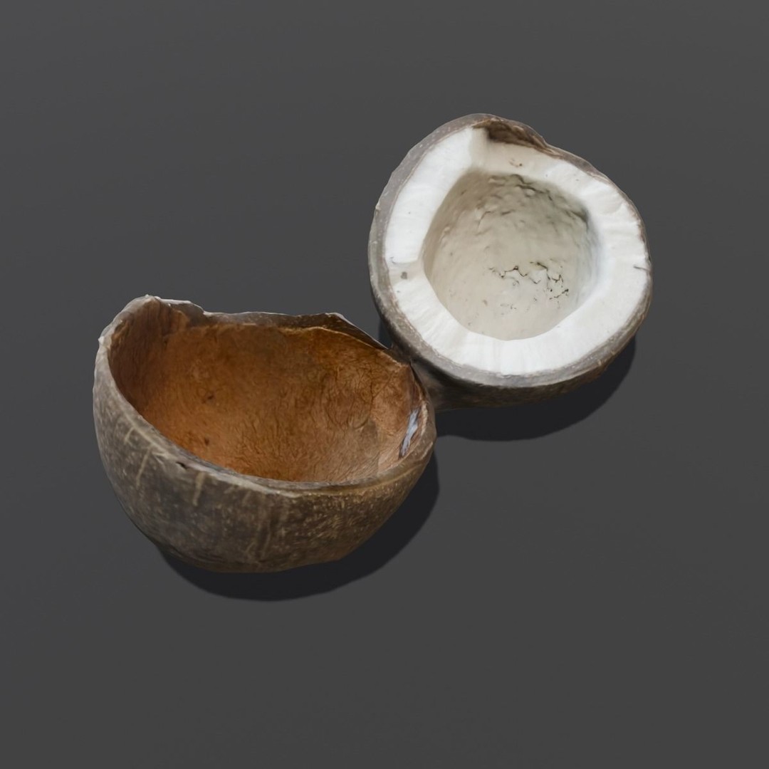 Coconut 3D Model – Low Poly Digital Asset with PBR Textures - View 8