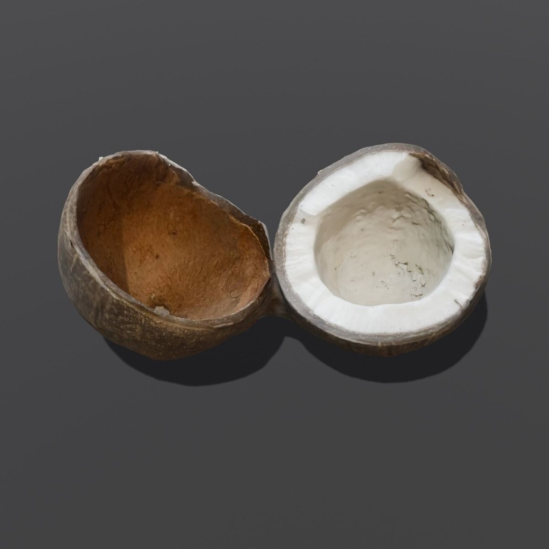 Coconut 3D Model – Low Poly Digital Asset with PBR Textures - View 9