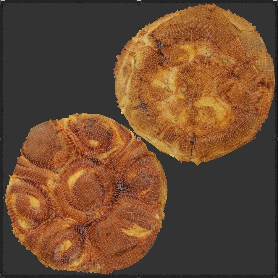 Vanilla Bun 3D Model – Low Poly Game Asset, FBX & OBJ Formats - View 10