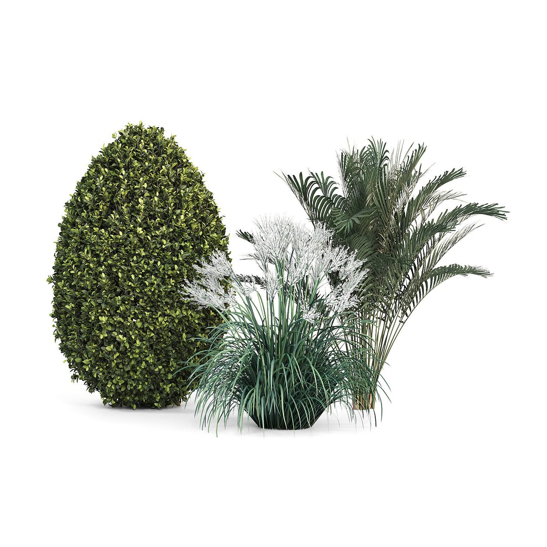 Outdoor Plants 3D Model – Decorative Hedges and Trees, FBX - View 10