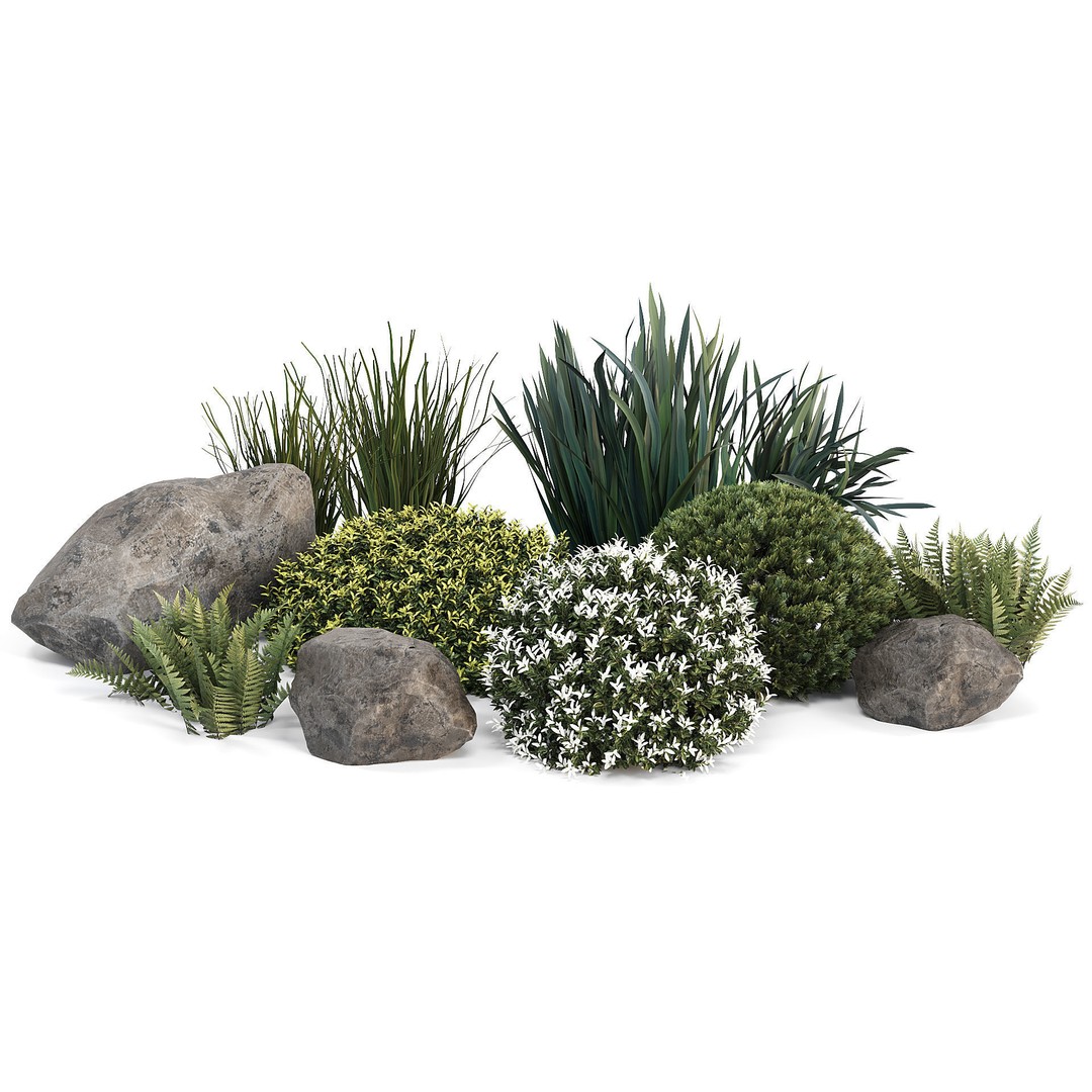 Outdoor Plants 3D Model – Decorative Hedges and Trees, FBX - View 11