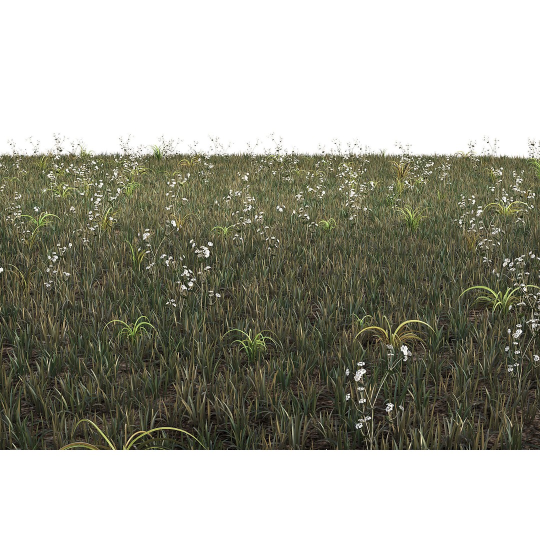 Outdoor Plants 3D Model – Decorative Hedges and Trees, FBX - View 12