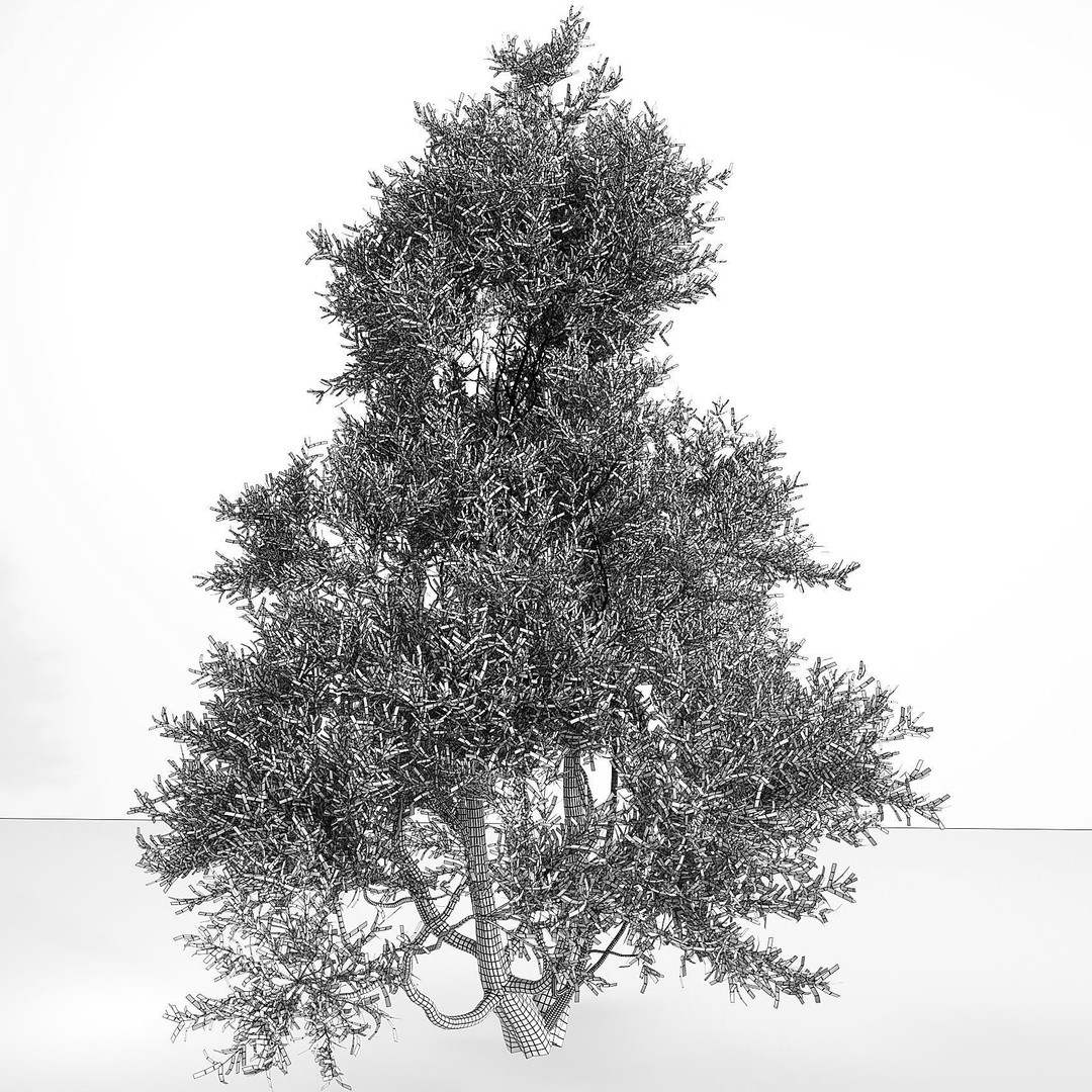 Outdoor Plants 3D Model – Decorative Hedges and Trees, FBX - View 13