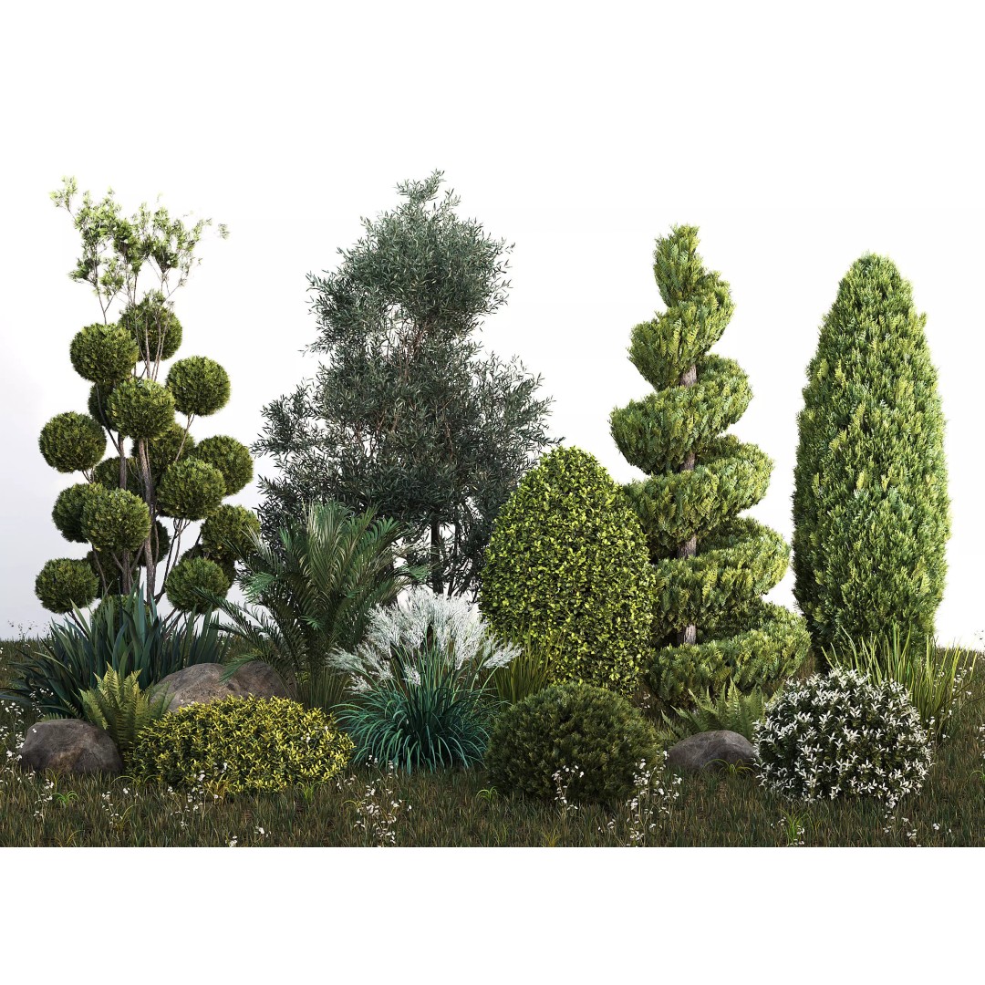Outdoor Plants 3D Model – Decorative Hedges and Trees, FBX - View 2