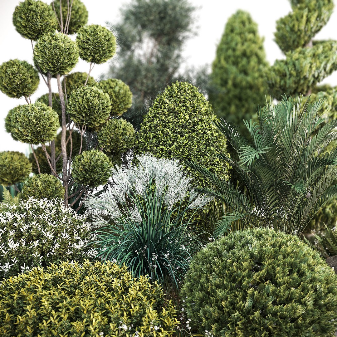 Outdoor Plants 3D Model – Decorative Hedges and Trees, FBX - View 4