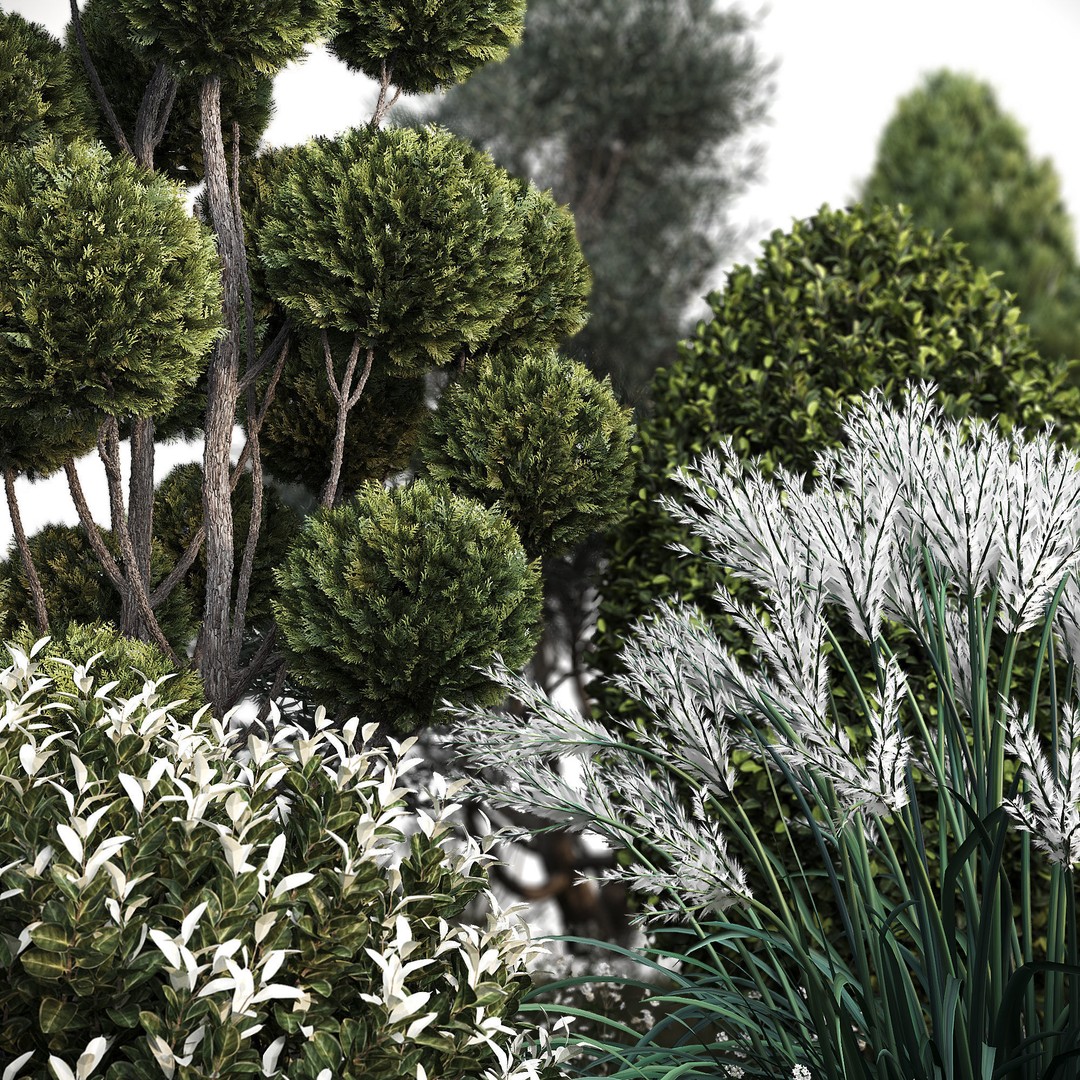 Outdoor Plants 3D Model – Decorative Hedges and Trees, FBX - View 5