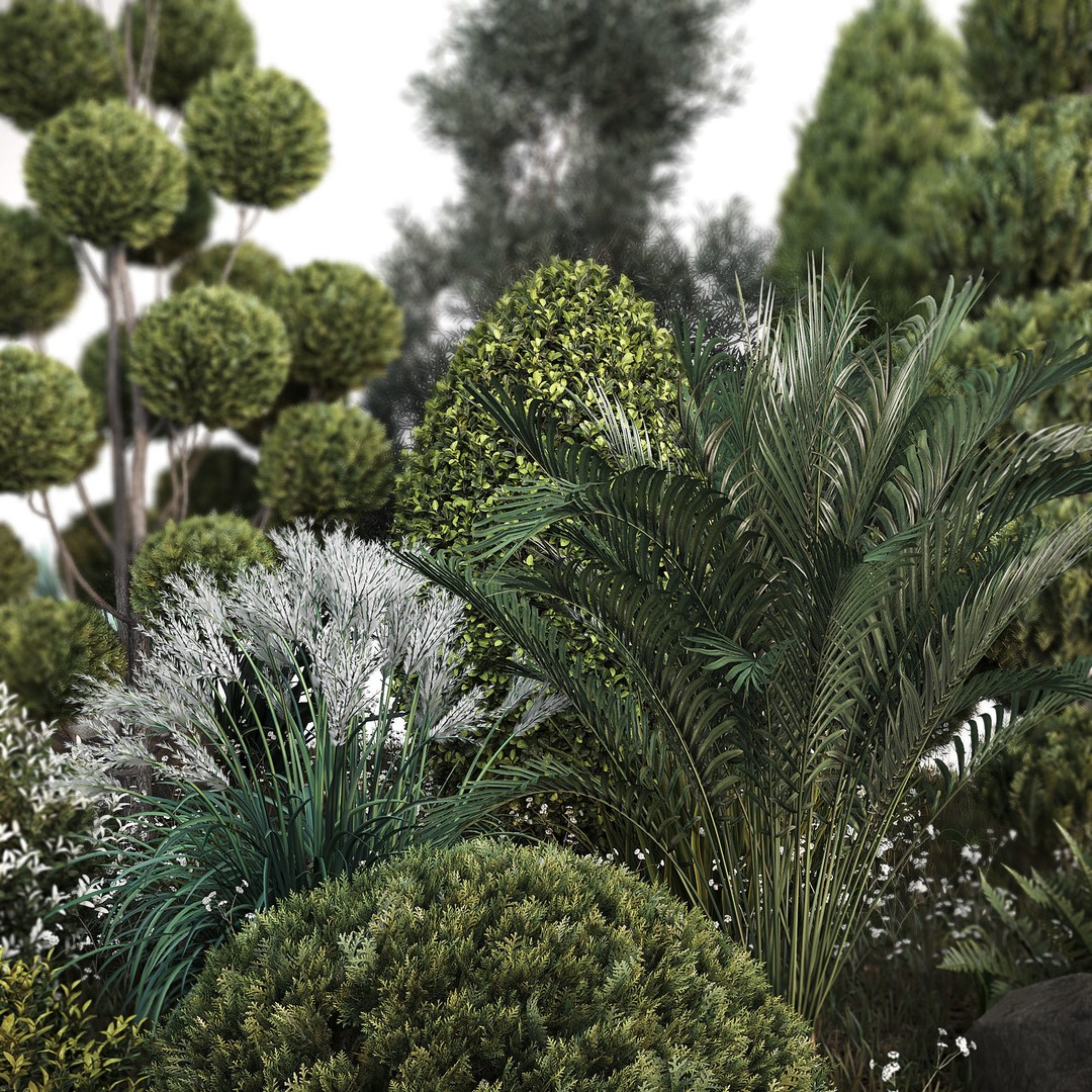 Outdoor Plants 3D Model – Decorative Hedges and Trees, FBX - View 6