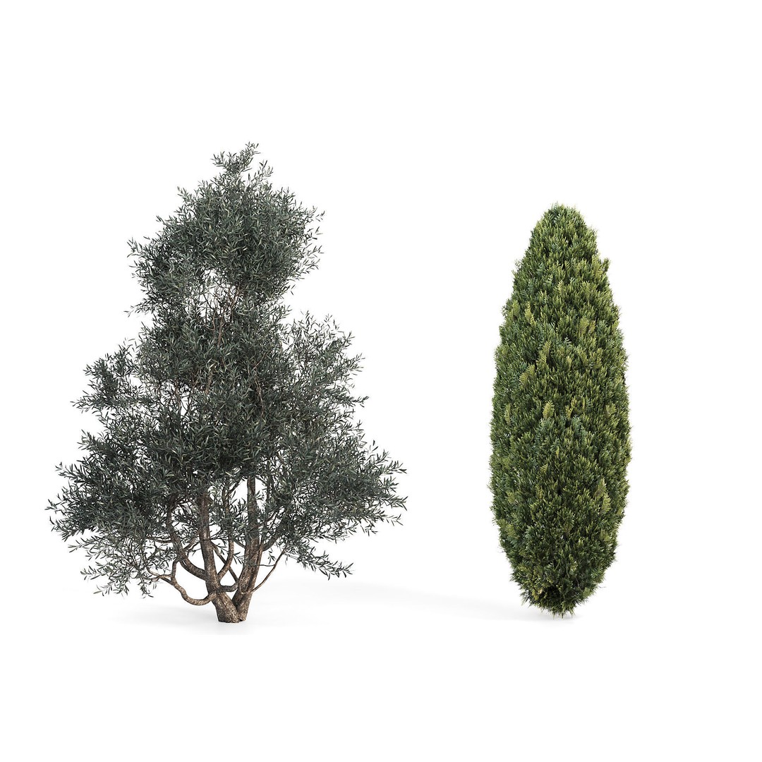 Outdoor Plants 3D Model – Decorative Hedges and Trees, FBX - View 9