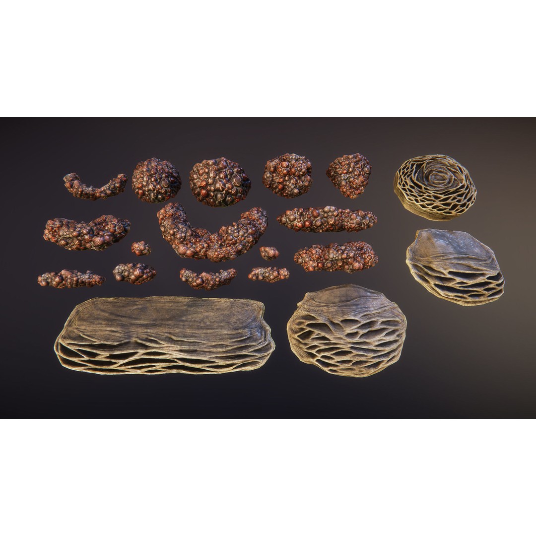 Biomass Cover 3D Model – Low Poly Biological Asset, FBX - View 11