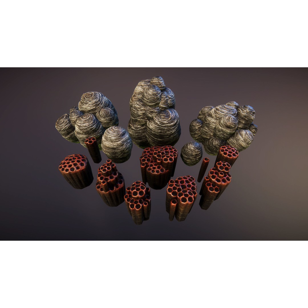 Biomass Cover 3D Model – Low Poly Biological Asset, FBX - View 12