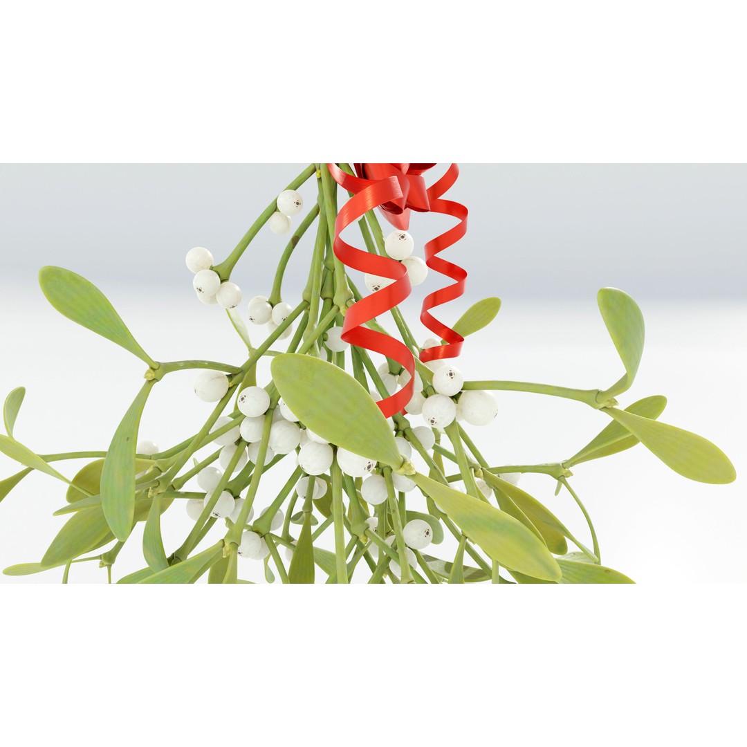 Mistletoe Bunch 3D Model – Real-World Scale PBR Asset, OBJ/FBX - View 10