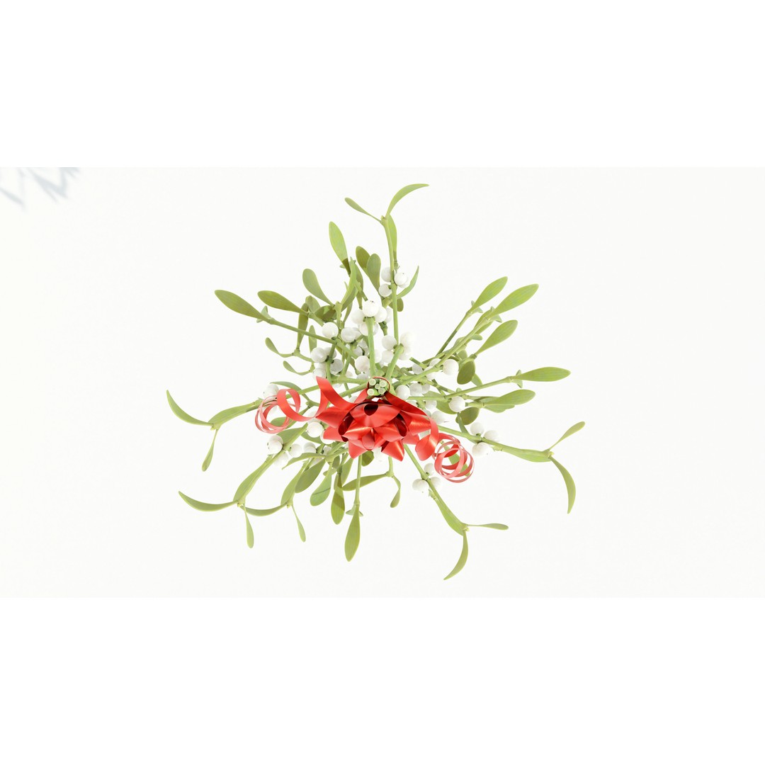 Mistletoe Bunch 3D Model – Real-World Scale PBR Asset, OBJ/FBX - View 11