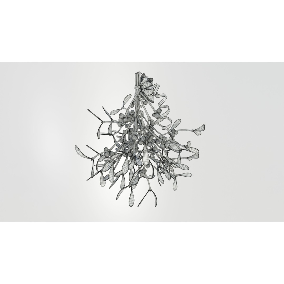 Mistletoe Bunch 3D Model – Real-World Scale PBR Asset, OBJ/FBX - View 16