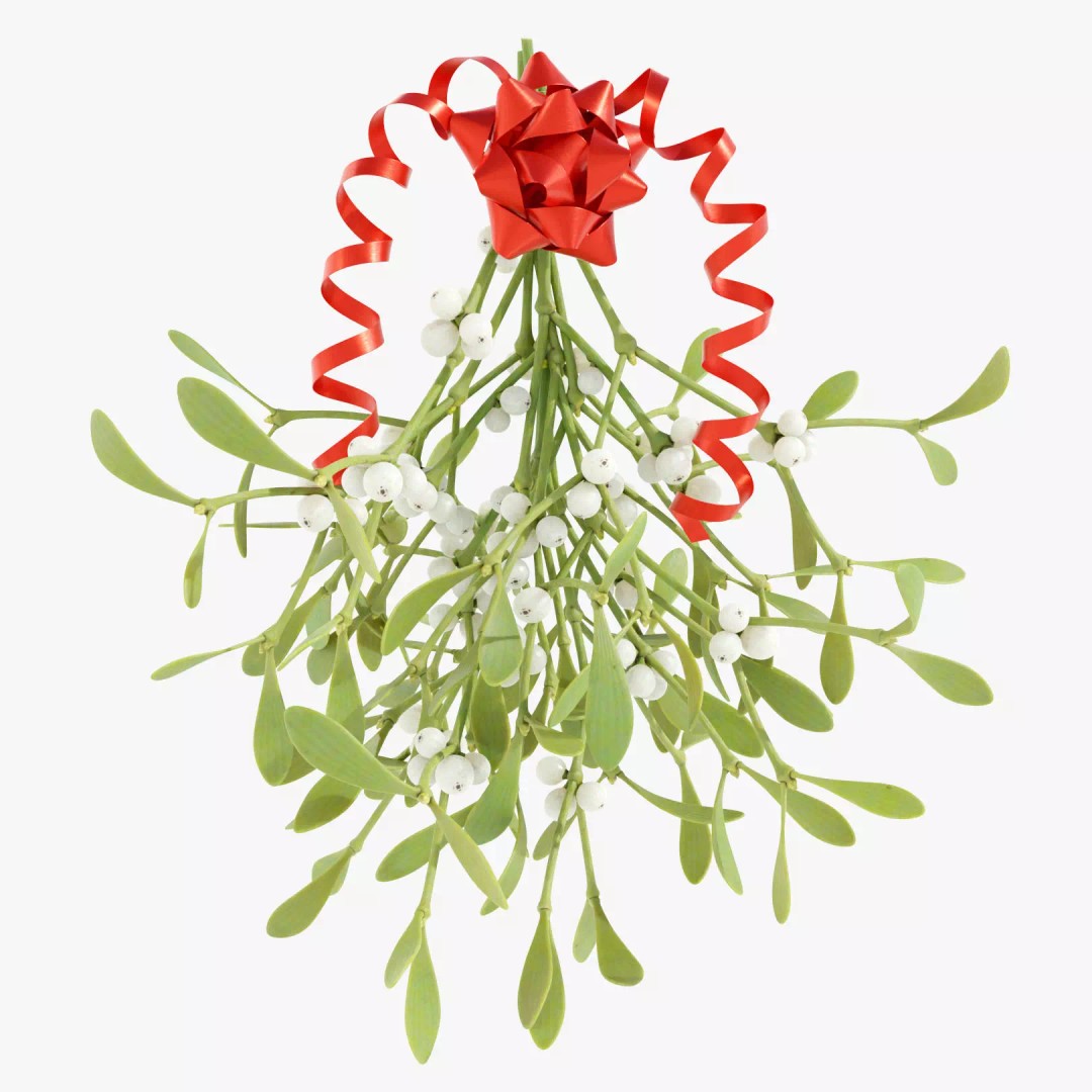 Mistletoe Bunch 3D Model – Real-World Scale PBR Asset, OBJ/FBX - View 2