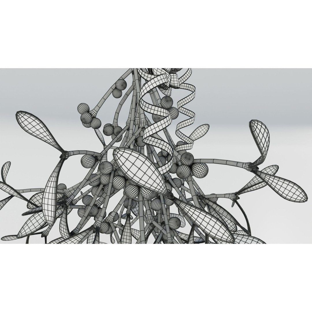 Mistletoe Bunch 3D Model – Real-World Scale PBR Asset, OBJ/FBX - View 20