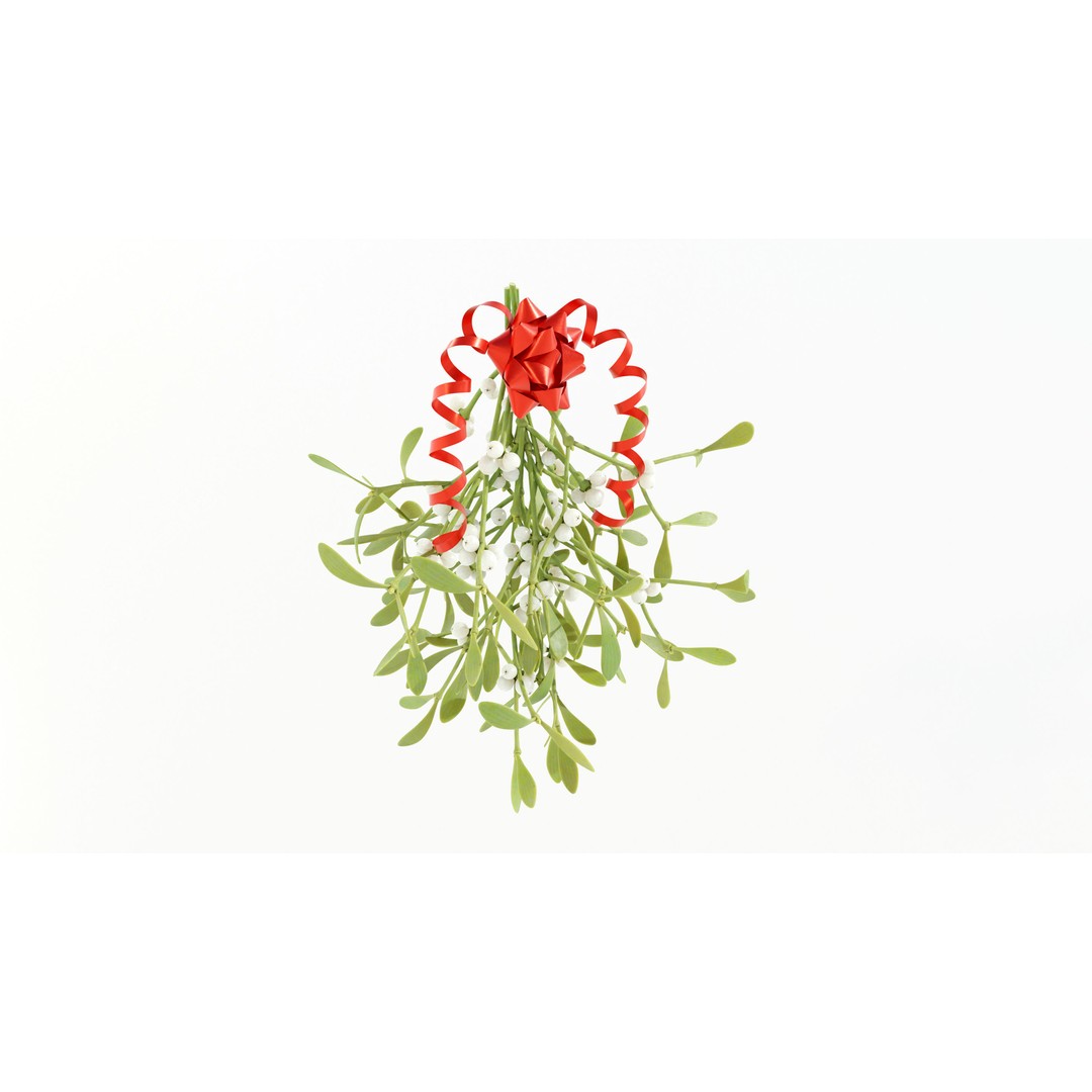 Mistletoe Bunch 3D Model – Real-World Scale PBR Asset, OBJ/FBX - View 3