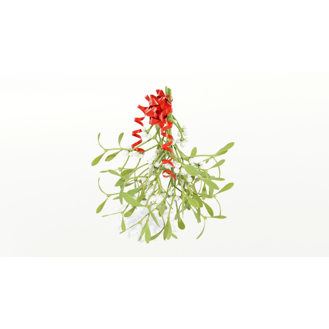 Mistletoe Bunch 3D Model – Real-World Scale PBR Asset, OBJ/FBX - View 4