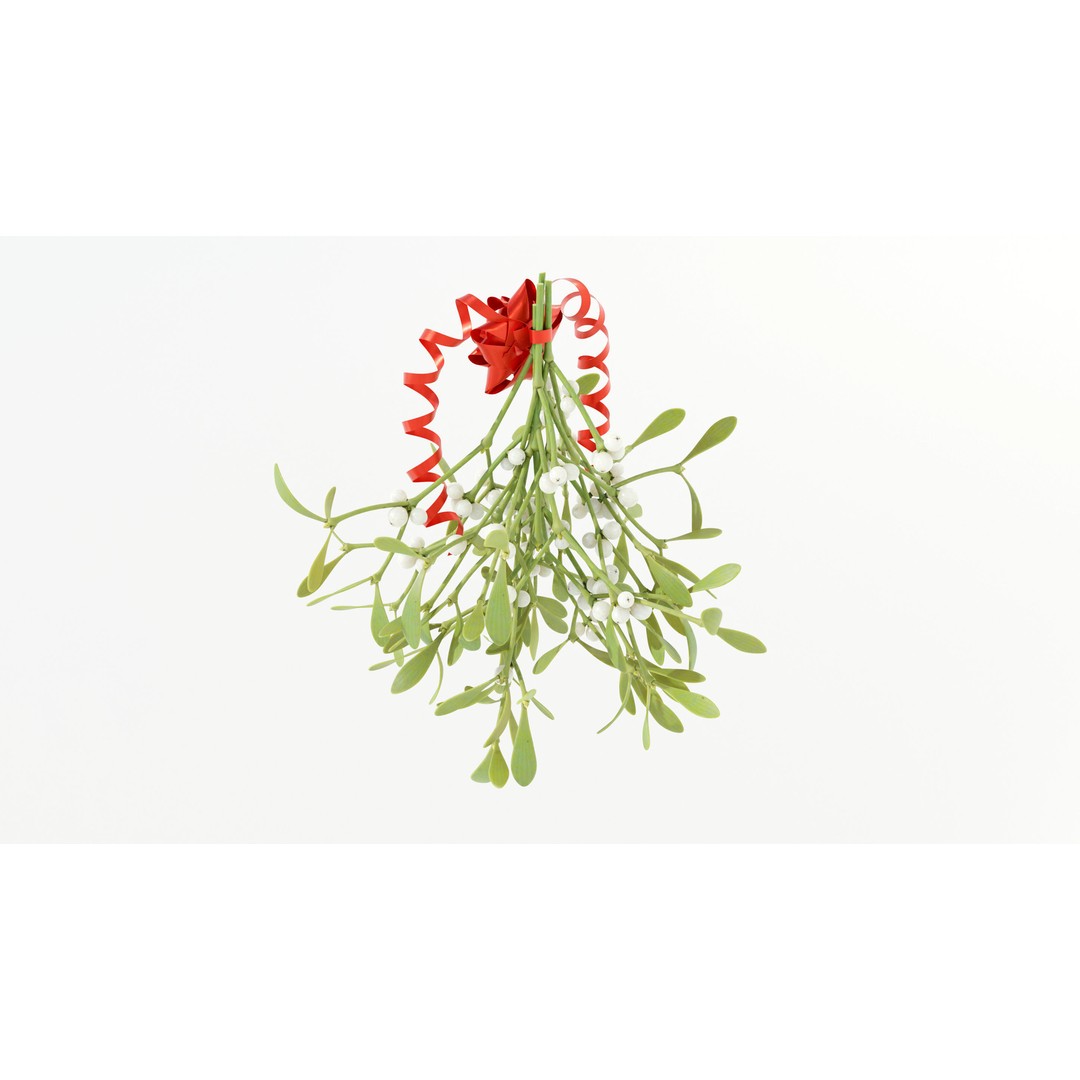 Mistletoe Bunch 3D Model – Real-World Scale PBR Asset, OBJ/FBX - View 5