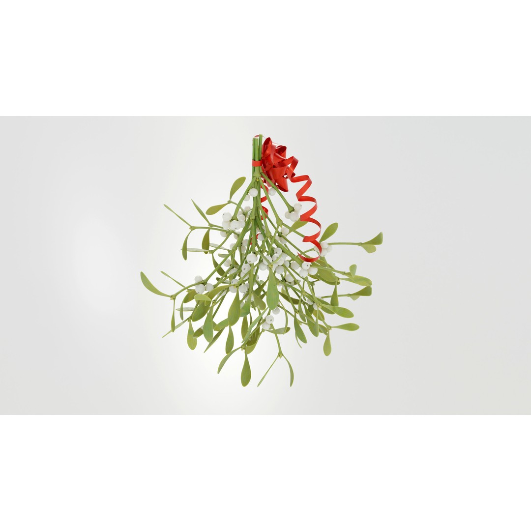 Mistletoe Bunch 3D Model – Real-World Scale PBR Asset, OBJ/FBX - View 6