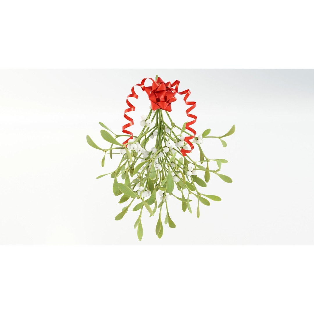 Mistletoe Bunch 3D Model – Real-World Scale PBR Asset, OBJ/FBX - View 7