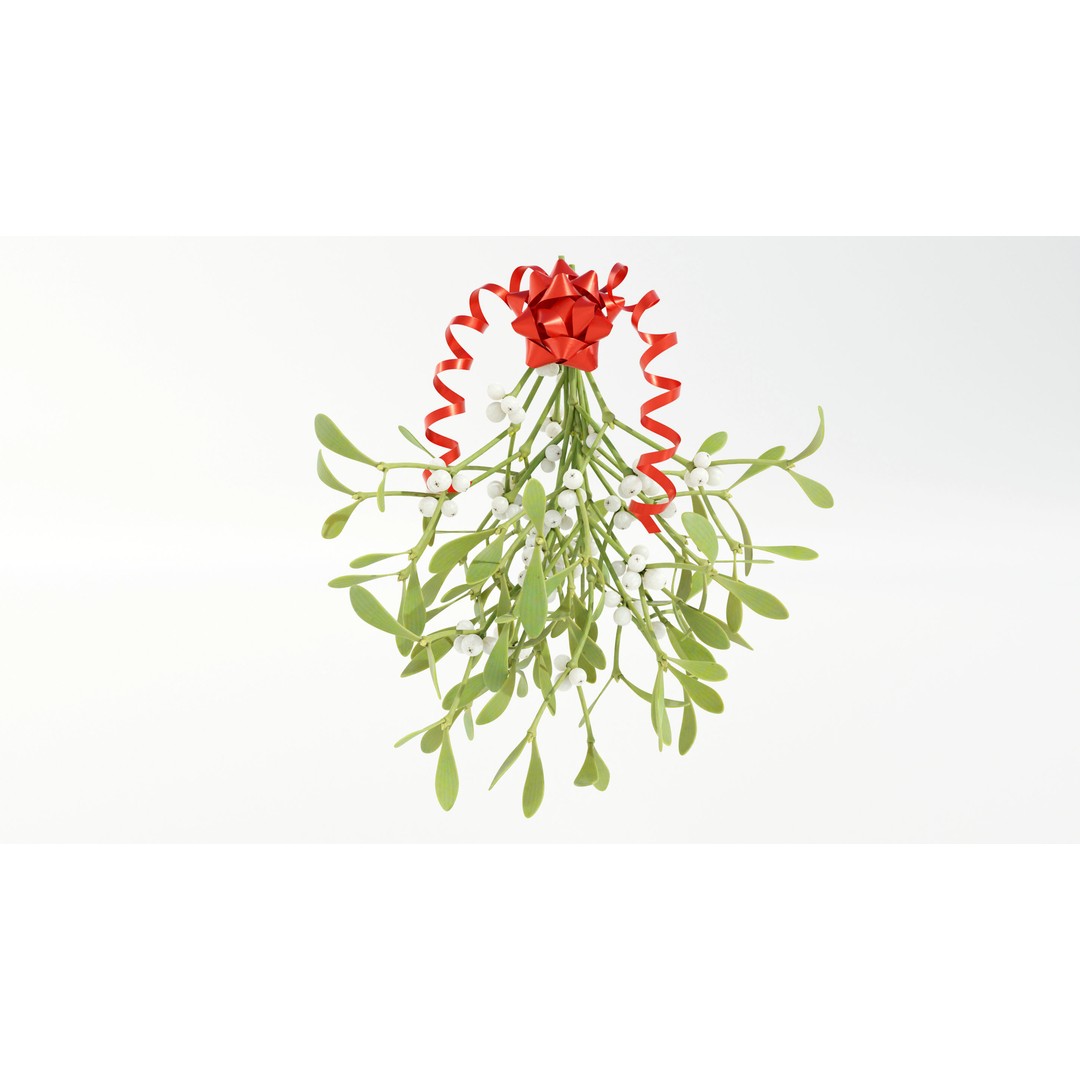 Mistletoe Bunch 3D Model – Real-World Scale PBR Asset, OBJ/FBX - View 8