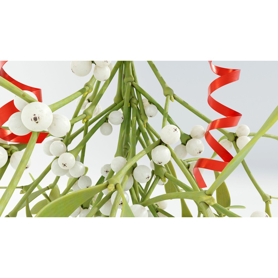 Mistletoe Bunch 3D Model – Real-World Scale PBR Asset, OBJ/FBX - View 9