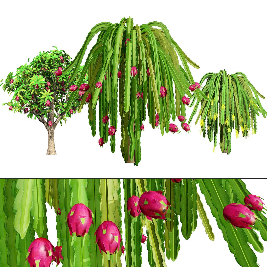 Low Poly Fruit Tree Pack 3D Model – Game Ready Variety, FBX, PBR - View 12