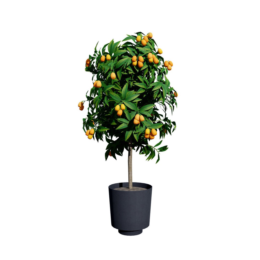 Low Poly Fruit Tree Pack 3D Model – Game Ready Variety, FBX, PBR - View 14