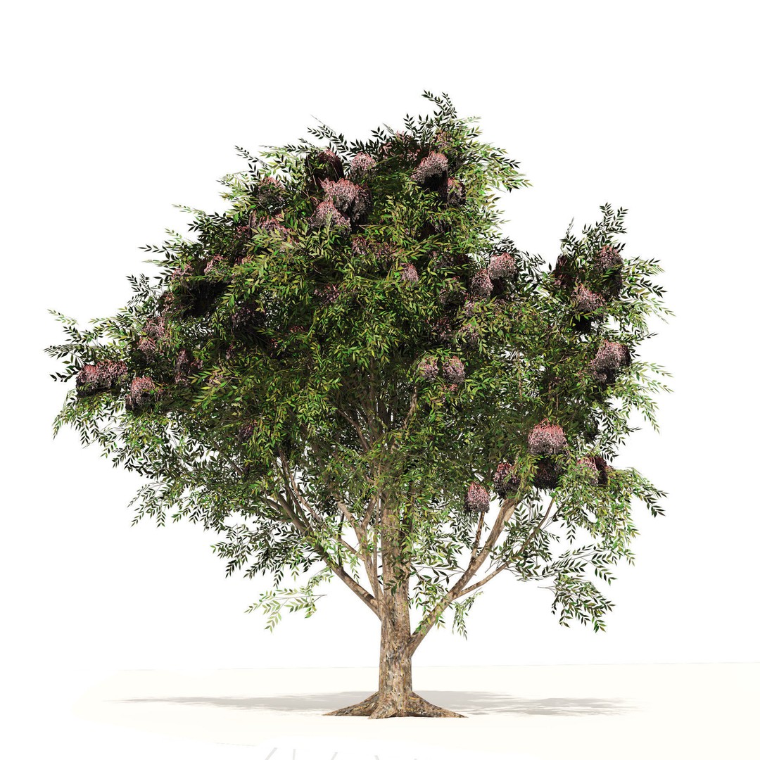 Low Poly Fruit Tree Pack 3D Model – Game Ready Variety, FBX, PBR - View 15