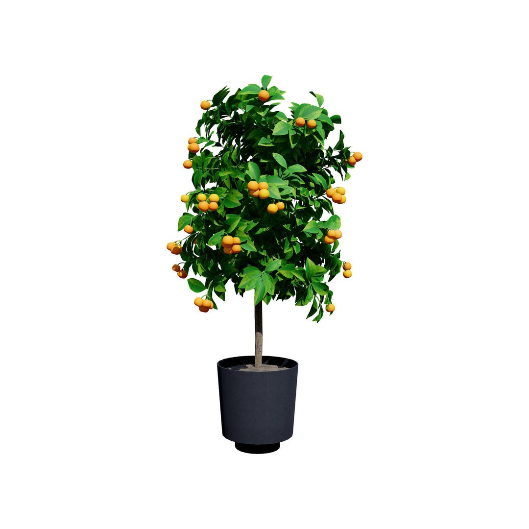 Low Poly Fruit Tree Pack 3D Model – Game Ready Variety, FBX, PBR - View 16
