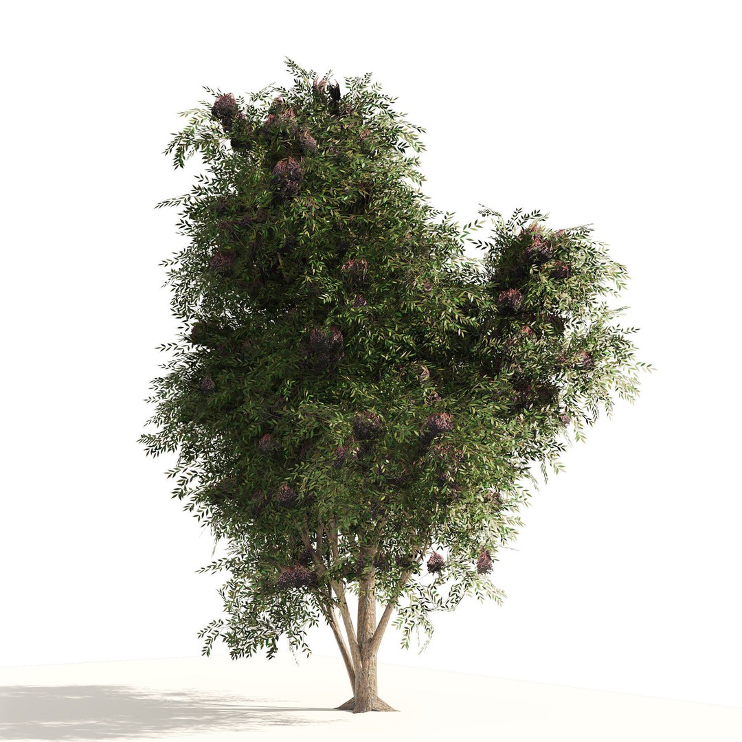 Low Poly Fruit Tree Pack 3D Model – Game Ready Variety, FBX, PBR - View 18