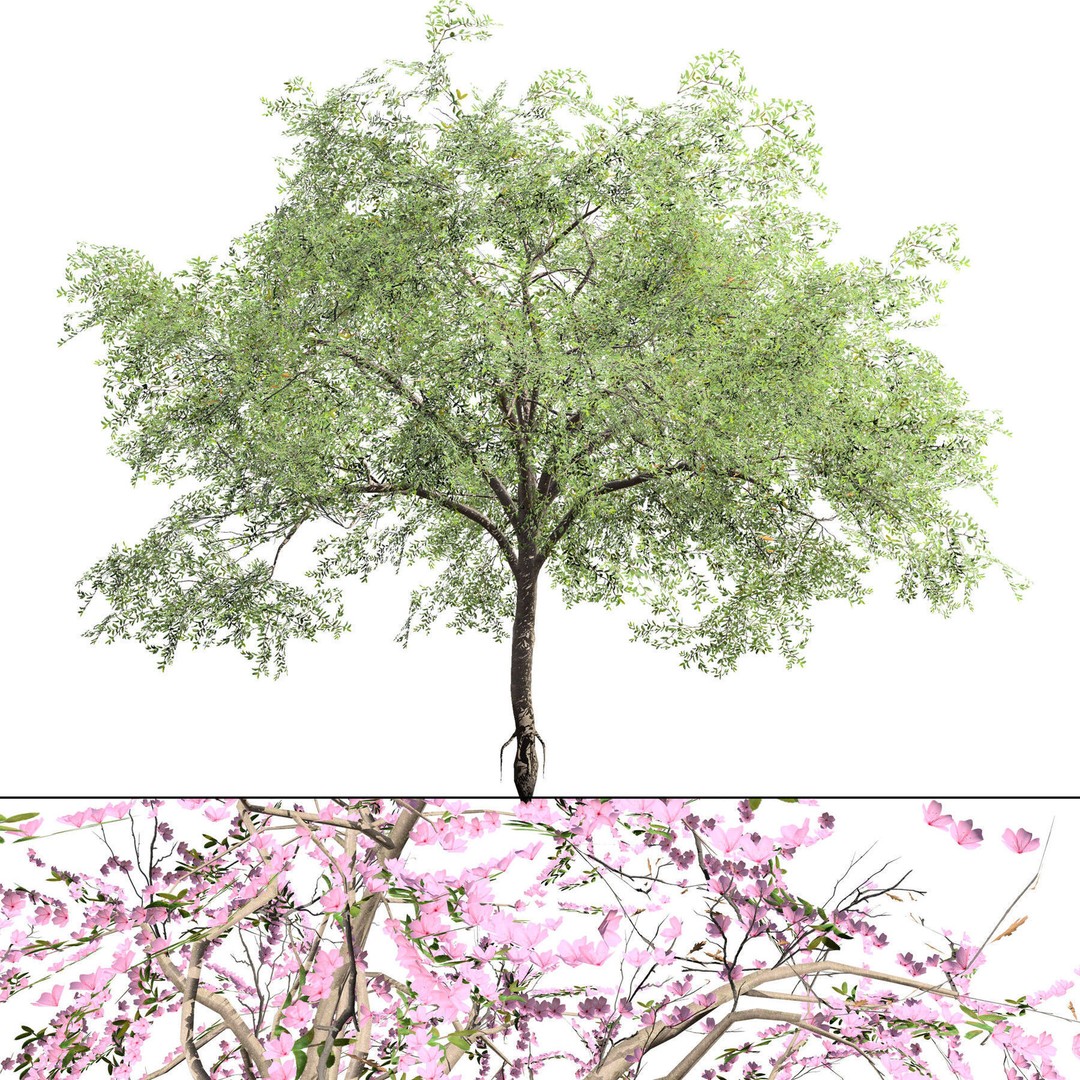Low Poly Fruit Tree Pack 3D Model – Game Ready Variety, FBX, PBR - View 20