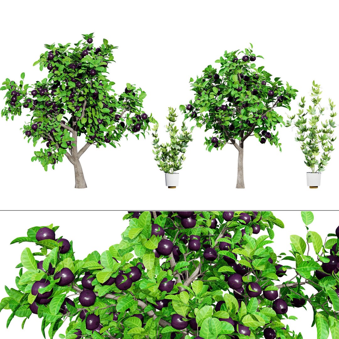 Low Poly Fruit Tree Pack 3D Model – Game Ready Variety, FBX, PBR - View 21