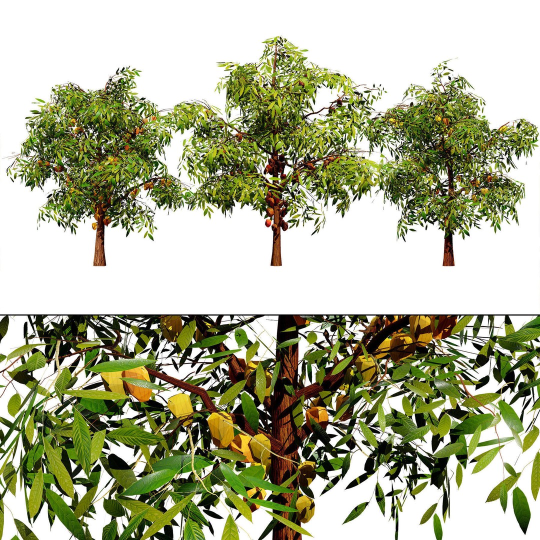 Low Poly Fruit Tree Pack 3D Model – Game Ready Variety, FBX, PBR - View 22
