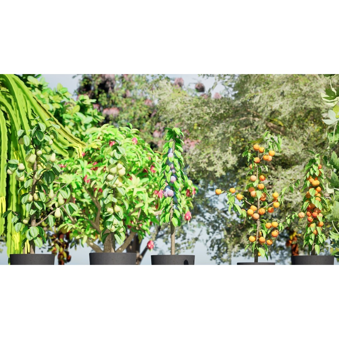 Low Poly Fruit Tree Pack 3D Model – Game Ready Variety, FBX, PBR - View 4
