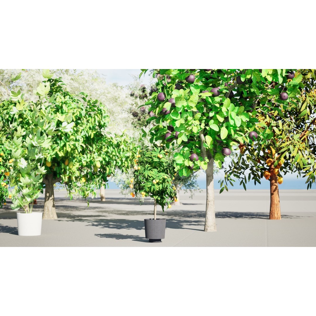 Low Poly Fruit Tree Pack 3D Model – Game Ready Variety, FBX, PBR - View 7
