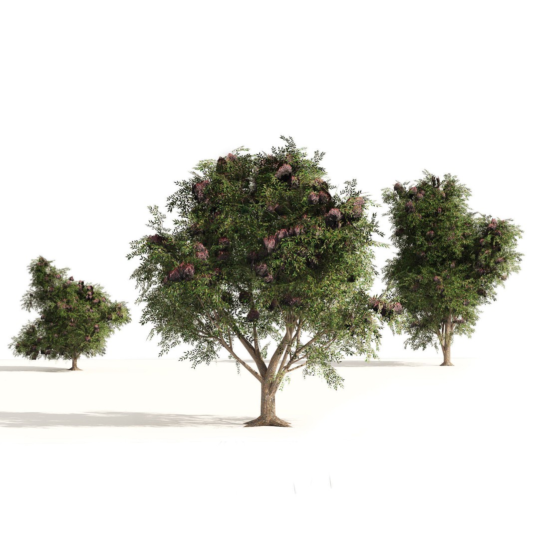 Low Poly Fruit Tree Pack 3D Model – Game Ready Variety, FBX, PBR - View 9